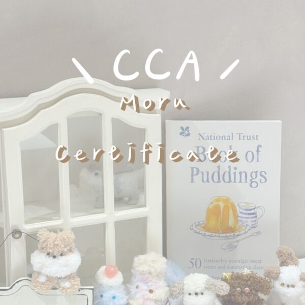 CCA毛料娃娃進階證書