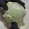 Hip pot 植物盆器繪畫