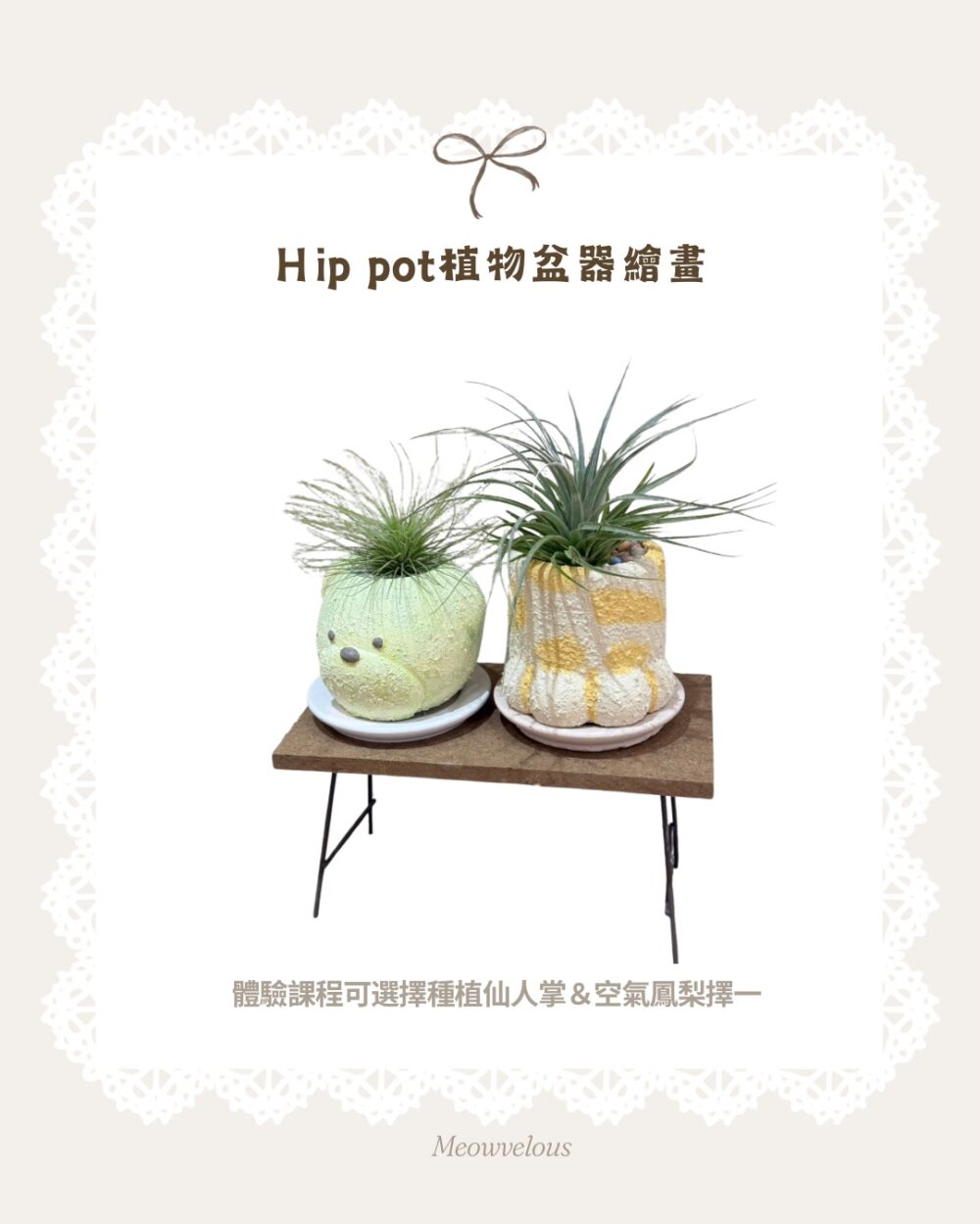 Hip pot 植物盆器繪畫