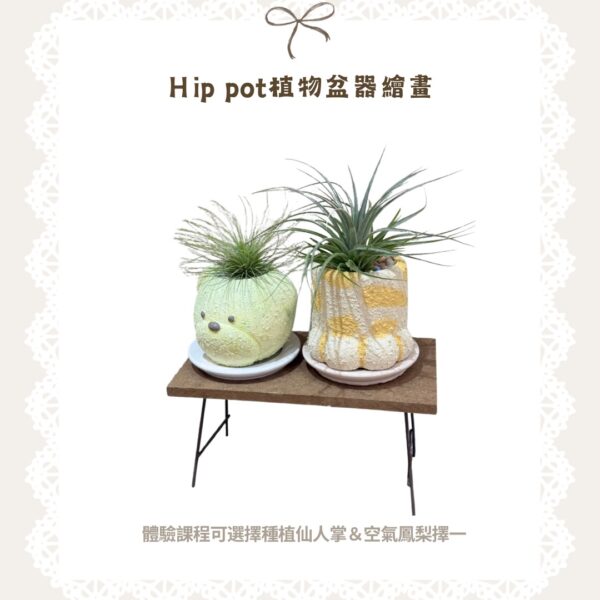Hip pot 植物盆器繪畫